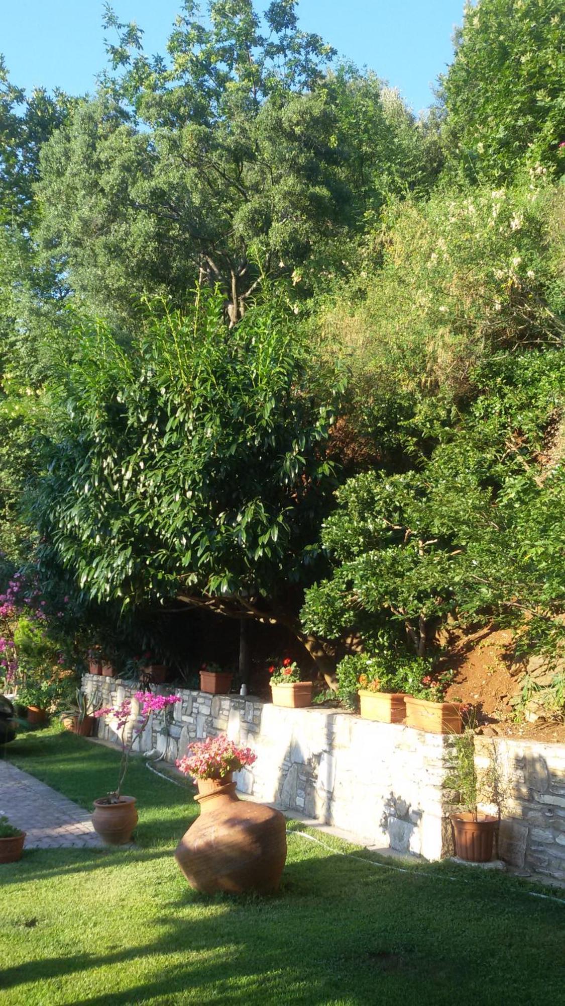 Villa Dimitra Skala Potamia  Esterno foto