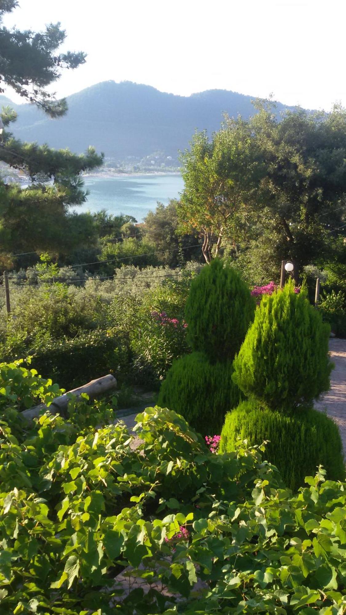 Villa Dimitra Skala Potamia  Esterno foto