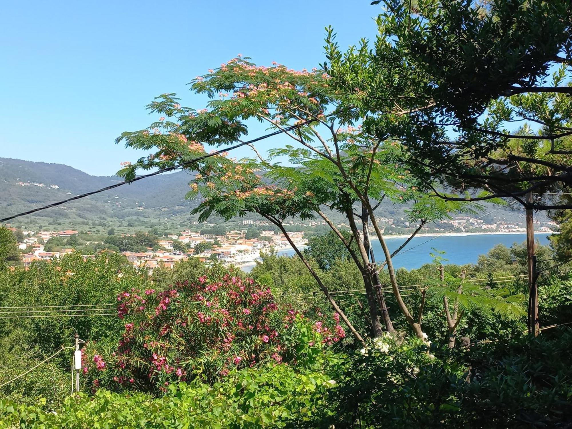 Villa Dimitra Skala Potamia  Esterno foto