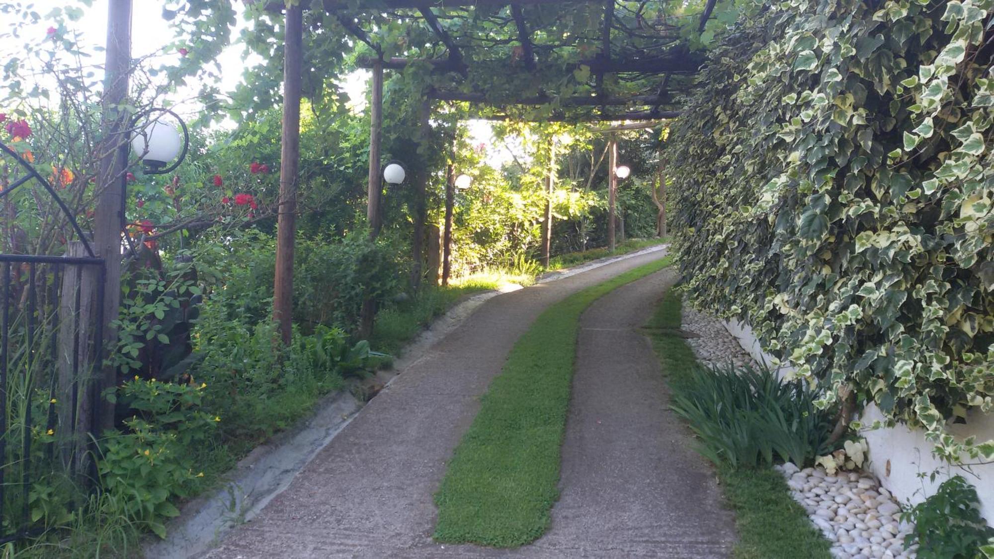 Villa Dimitra Skala Potamia  Esterno foto