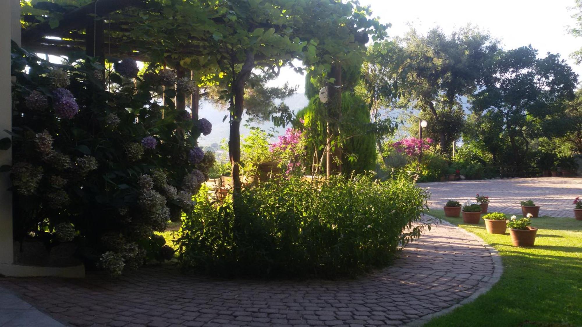 Villa Dimitra Skala Potamia  Esterno foto